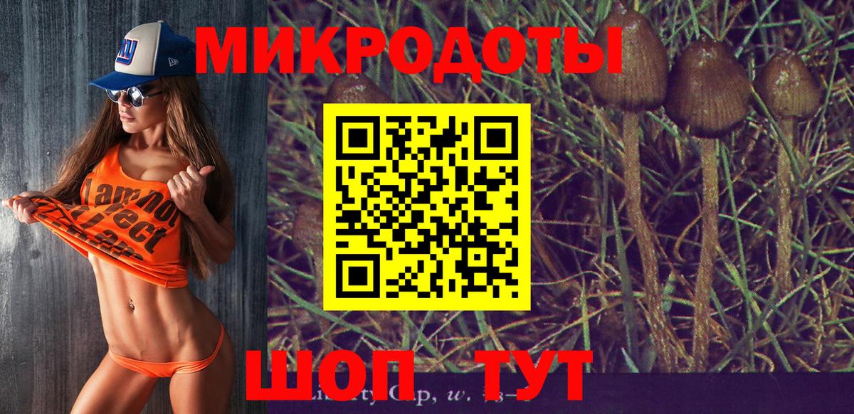 Галлюциногенные грибы мицелий Севастополь